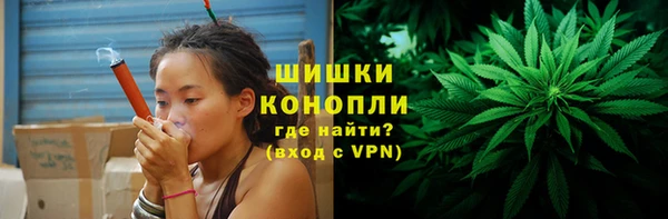 твердый Няндома