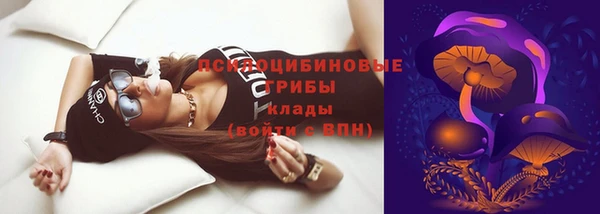 амф Галич