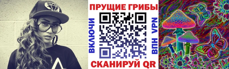 Галлюциногенные грибы Psilocybe  как найти закладки  МЕГА как зайти  Семилуки 