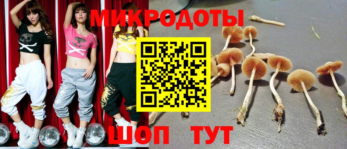 Псилоцибиновые грибы GOLDEN TEACHER Семилуки