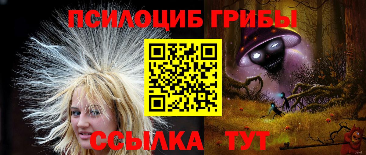 Галлюциногенные грибы Cubensis  Псилоцибиновые грибы мицелий  Вход с VPN  Семилуки 