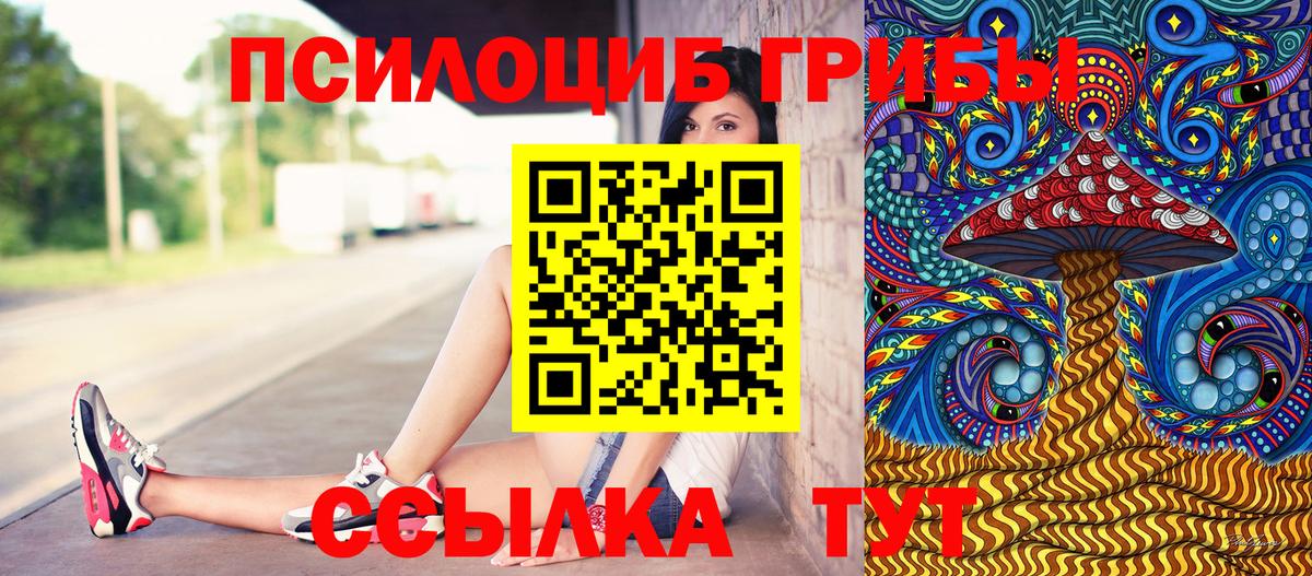 Галлюциногенные грибы прущие грибы  Семилуки  Галлюциногенные грибы MAGIC MUSHROOMS 