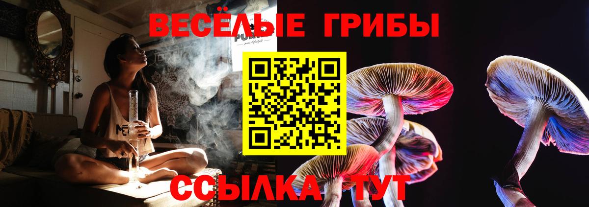 Галлюциногенные грибы Psilocybine cubensis Семилуки